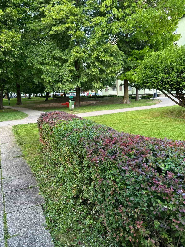 021a289a-06b7-49c1-a0b5-29639b08b372