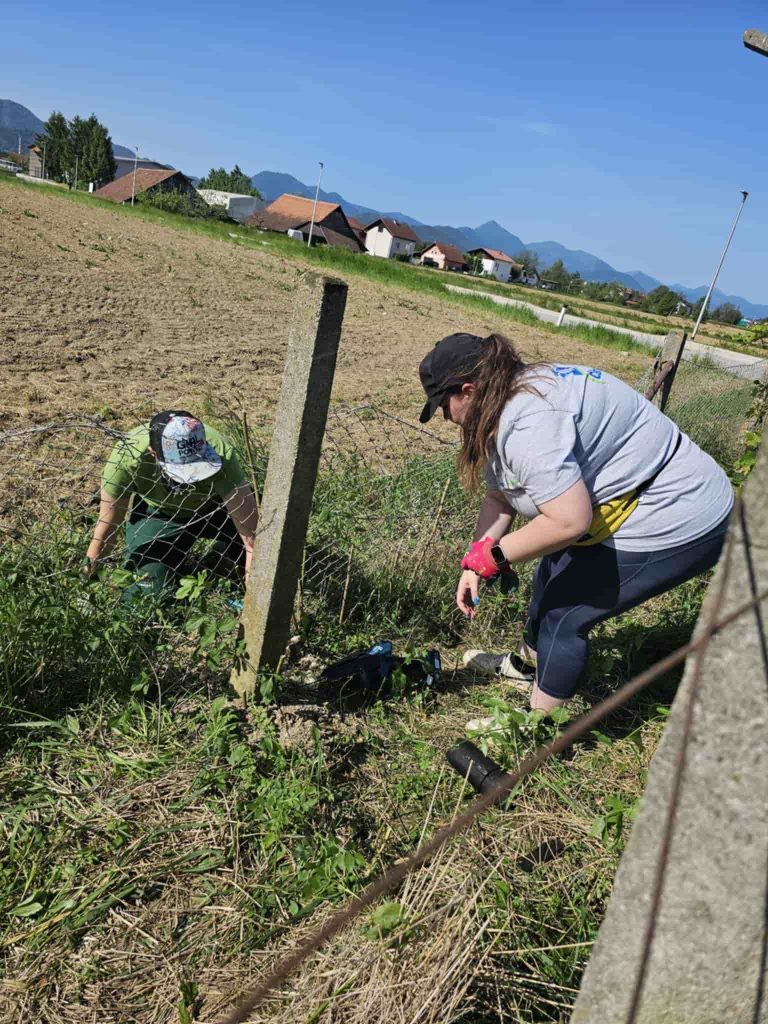 04690e06-746b-4c19-bdf8-2cca0a7c0a33