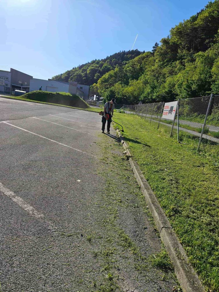 0a13538e-02de-4fb8-b6d9-da4dc629f7e8