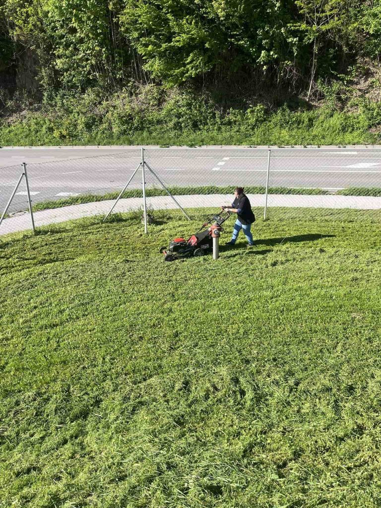 3fb4661a-2530-434d-b77f-c95141ecc94a